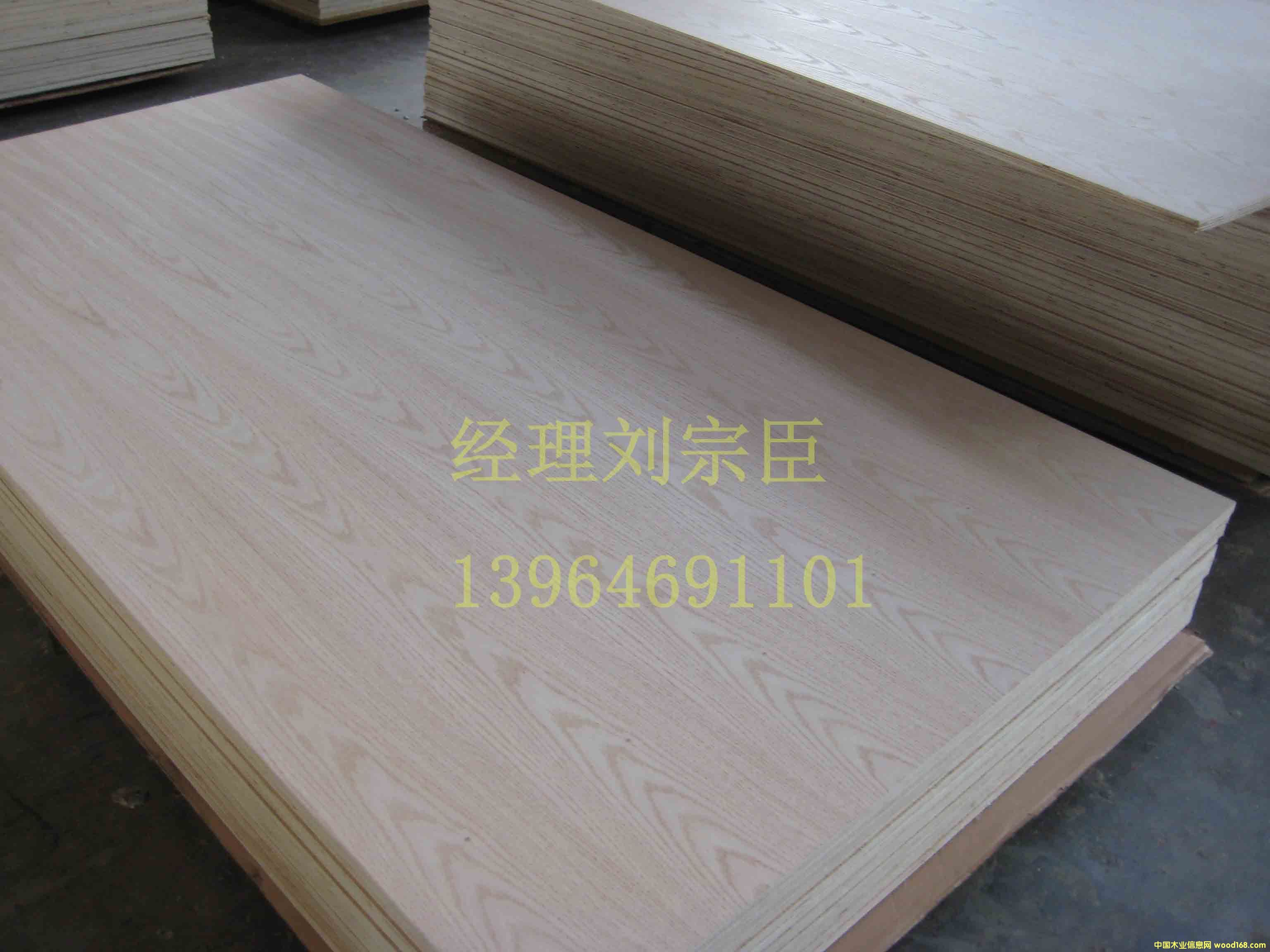 �t�������Ԕ��(x��)��B