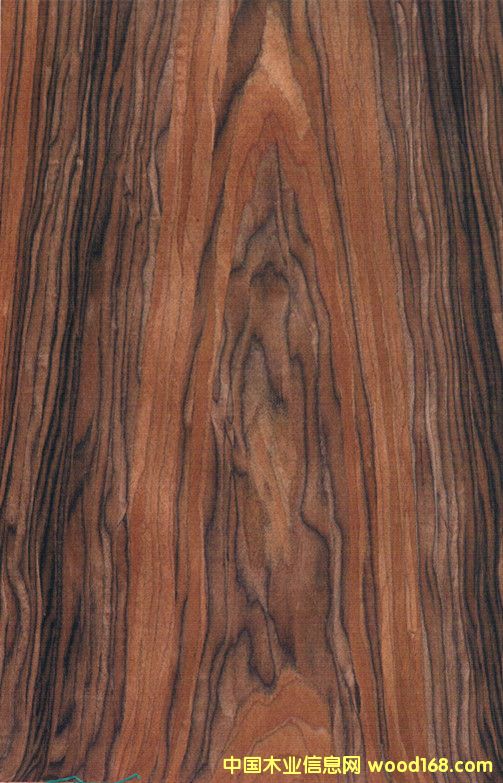 25�zɽ�y��֦ �ߙn�Ҿ�ľ��֦ �Ƽ�ľƤ�S�ҵ�Ԕ����B