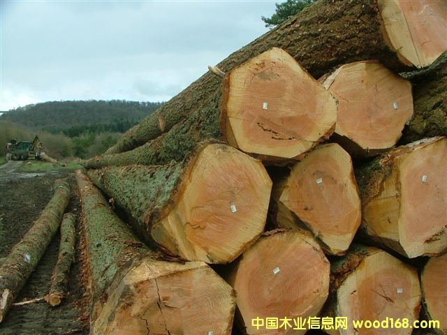 �W�޻�����ԭľ��Ԕ��(x��)��B