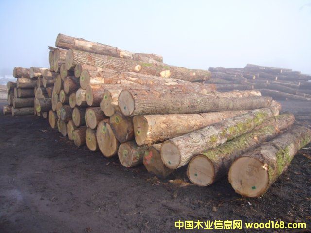 �·��W��ABC��(j��)����ԭľ