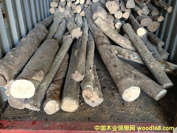 С�~�S��ľ��Ԕ����B