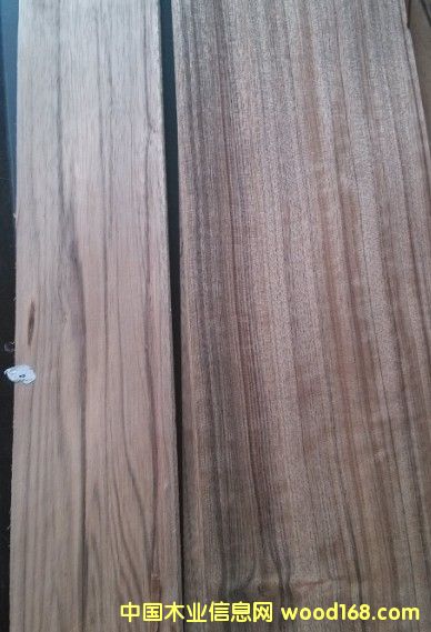 ����ľľƤ��Ԕ��(x��)��B