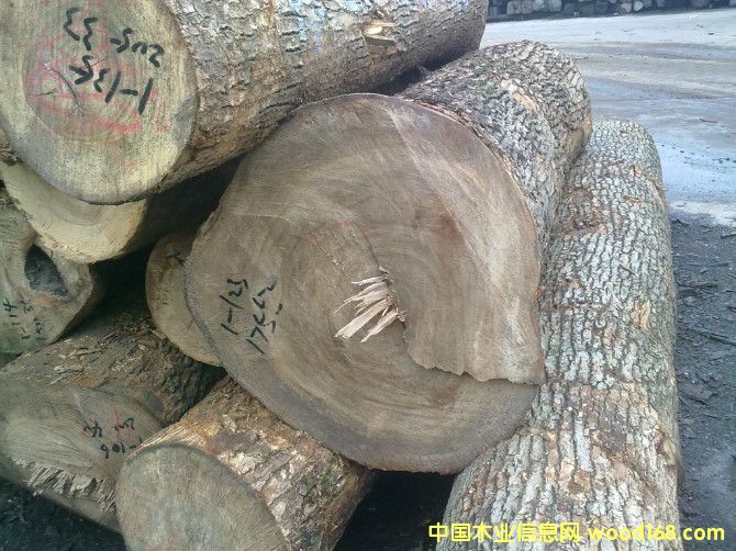 ���a(ch��n)����