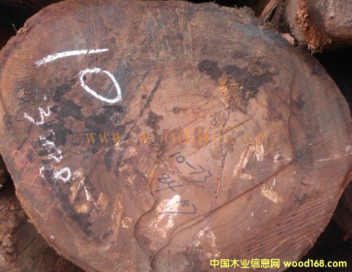 ��Ī�� ���� ���_�T