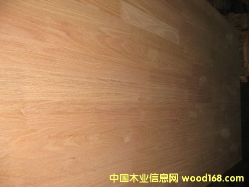 �t��ľָ�Ӱ��Ԕ����B