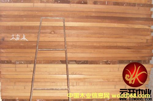 ��ľ��Ԕ��(x��)��B