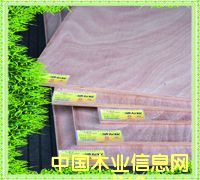 ������Ӱ�