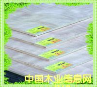 ������Ӱ�