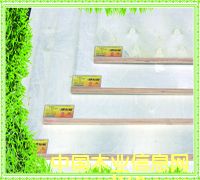 ��ˮ���Ӱ��Ԕ��(x��)��B