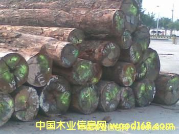 ������֦��Ԕ����B