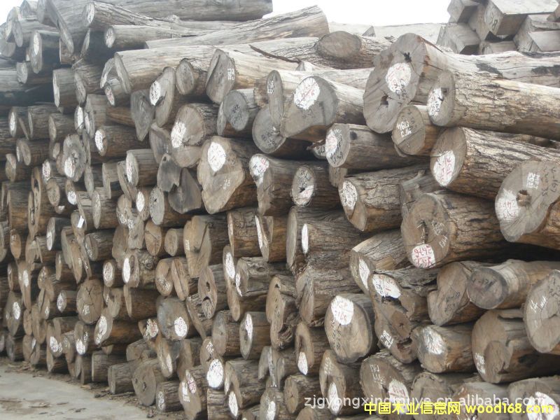 С�~�t̴��Ԕ����B