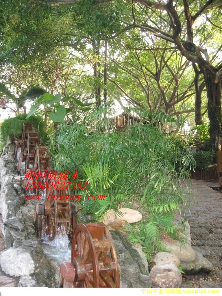 ����ľˮ܇��Ԕ��(x��)��B