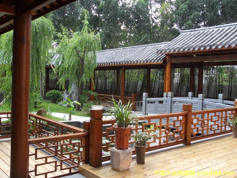 ���Ϸ���ľ��픻��@��Ԕ��(x��)��B