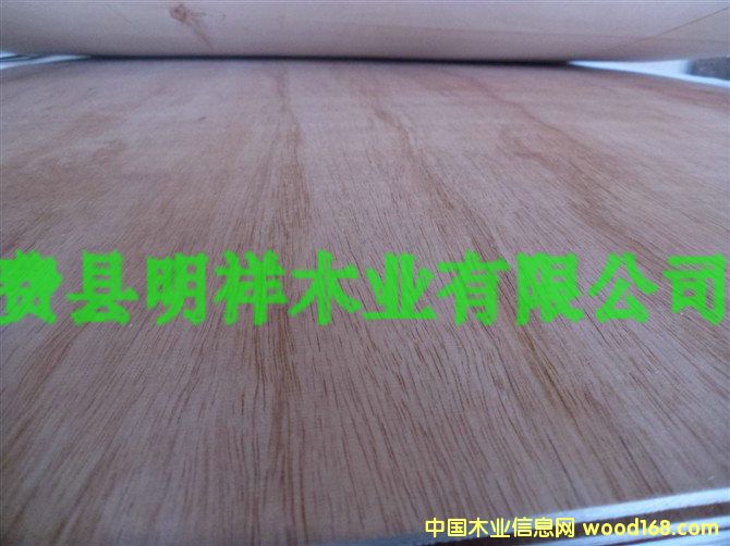 [��] 3MM�z�ϰ�