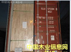 о���Ԕ����B