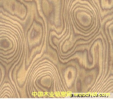 �Ƽ�ľƤ��Ԕ��(x��)��B