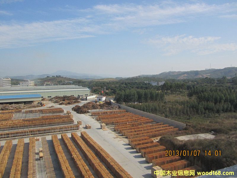 �����L����Ԕ����B