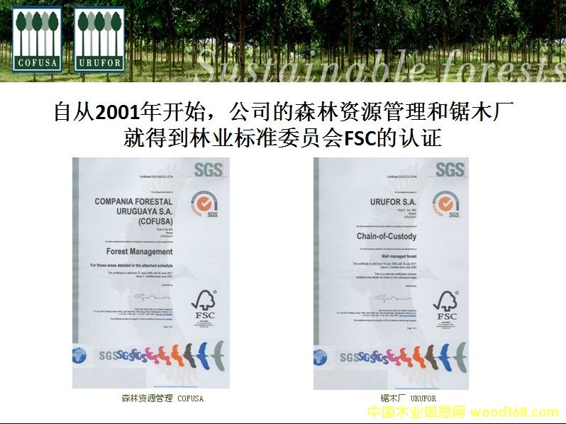 ��������ľ-õ��ľ��Ԕ��(x��)��B