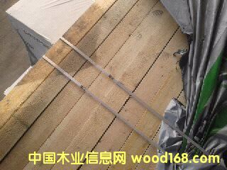 [��] ˮ�������