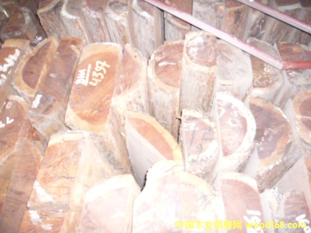 ����֦��Ԕ��(x��)��B