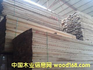 [��] ��ľ���