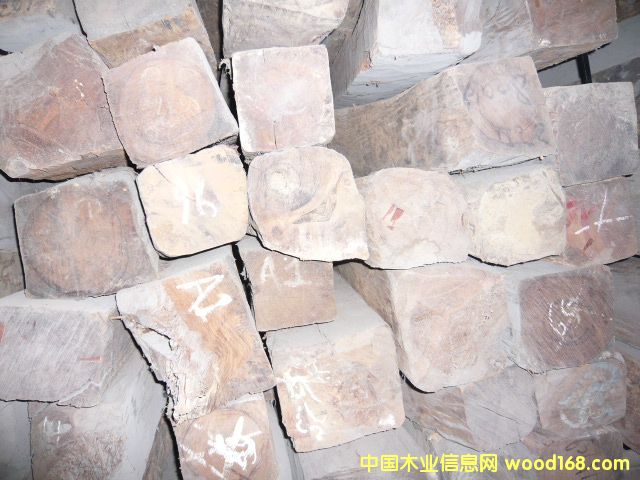 ����֦��Ԕ��(x��)��B