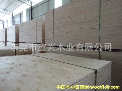 ����ɳ�l(f��)����