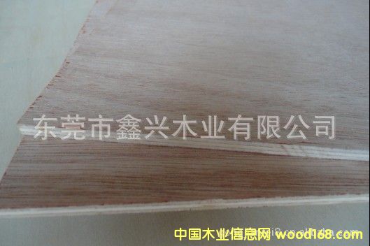 ����(y��ng)�һ�оľ��