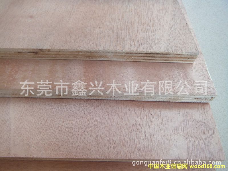 ����(y��ng) �һ�о���