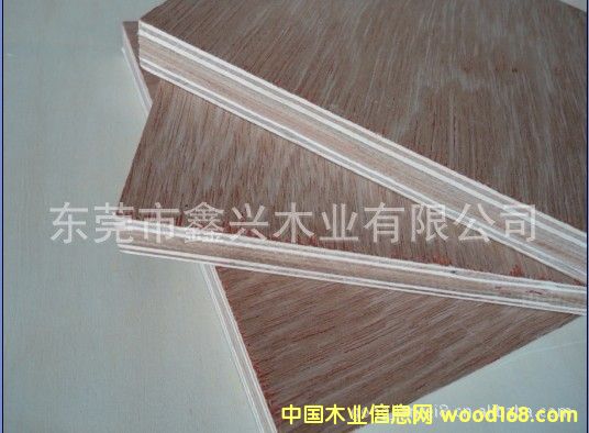 �������Ӱ� �����z�ϰ�