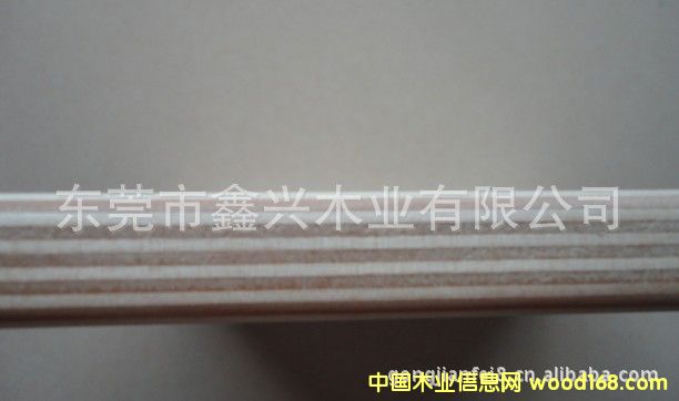 ����(y��ng)ȫ��ľľ��ġ��Ҿ߰�