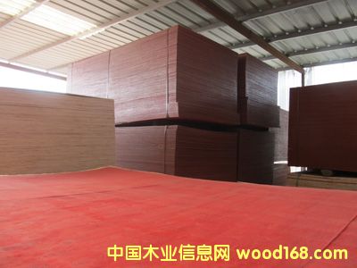 ����ģ�� ľ�z��  �ߙn��ˮ��Ĥ�� �ؼ�(j��)��ľ�A��Ƥ �бP���Ԕ��(x��)��B