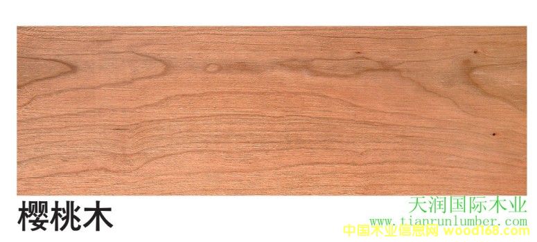 ����ľ��Ԕ����B