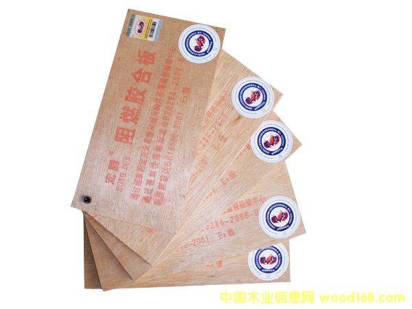 ��ȼ�z�ϰ�  5���Ԕ��(x��)��B