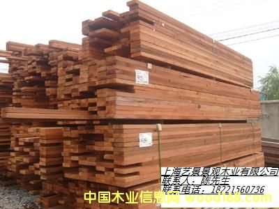 �tѩ�ɶ����Xһ��