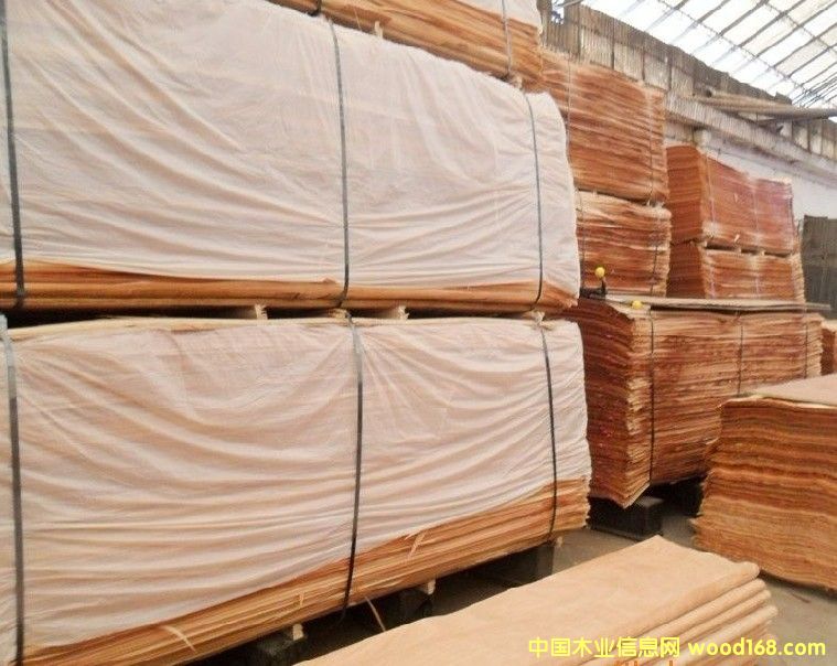 �һ�о��Ƥ����(y��ng)��Ԕ��(x��)��B