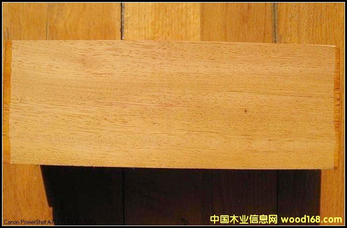 �͵�ľ��Ԕ��(x��)��B