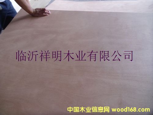 [��] �z�ϰ�18����b��