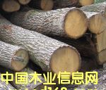 ��ľԭľ��Ԕ��(x��)��B