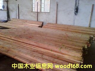 杉木料的詳細(xì)介紹