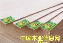 �o��ȩ�z��ľ���\��ȫ��������