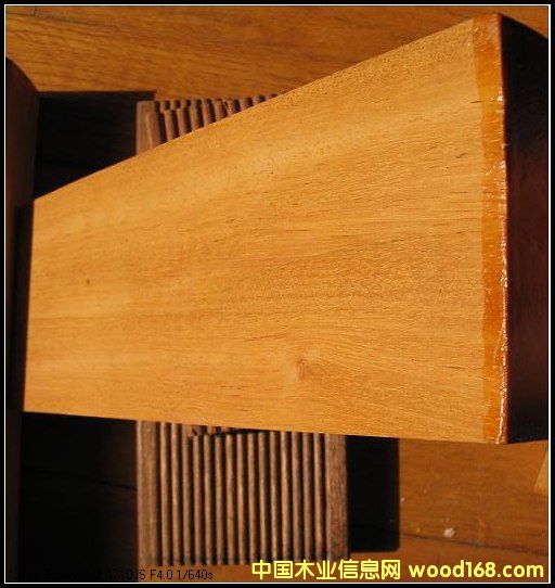 巴蒂木的詳細介紹