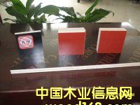 3*6�߸�Ĥ���Ԕ��(x��)��B