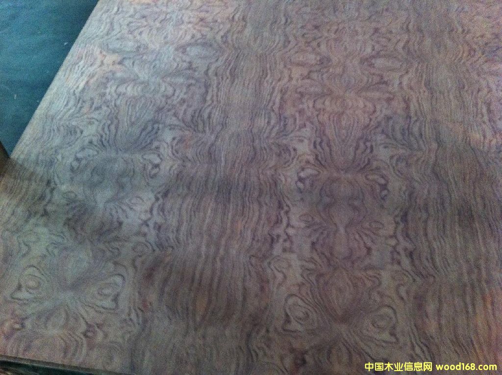 ���������Ԕ����B