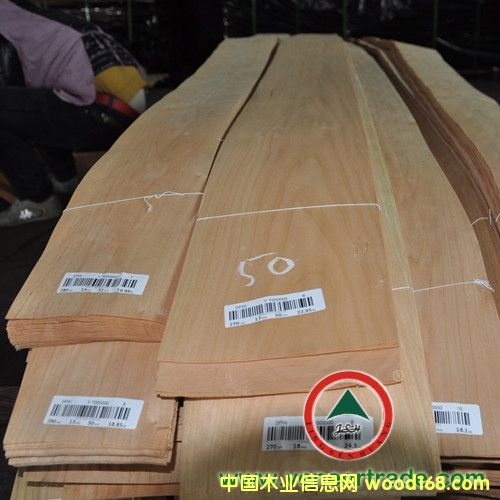 櫻桃的詳細介紹