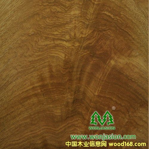 金叉的詳細介紹