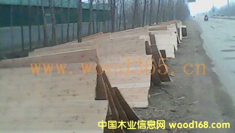 ͩľ�N����Ԕ��(x��)��B