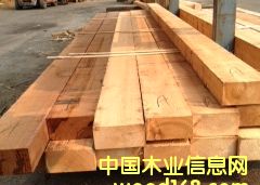 �tѩ�ɵ�Ԕ��(x��)��B