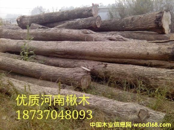 �ľԭľ��Ԕ��(x��)��B