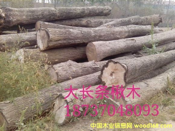 �ľԭľ��Ԕ��(x��)��B